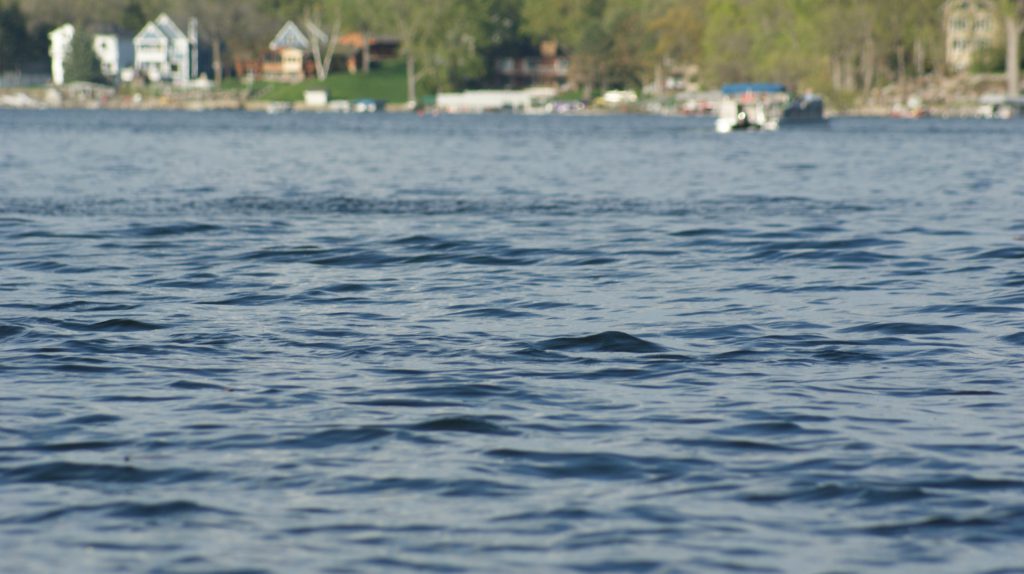 Footloose Cycle Cruise